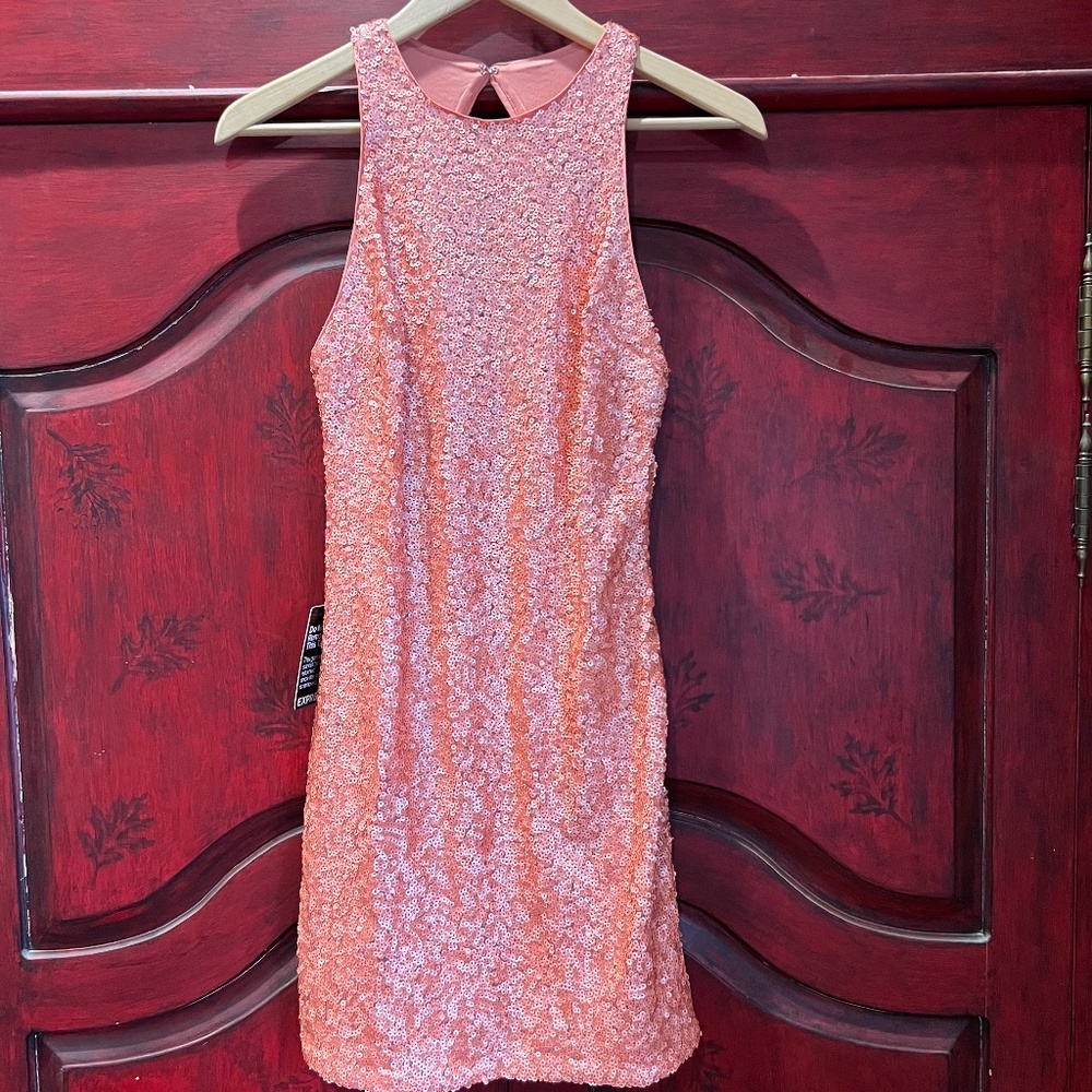 Express sequin dress